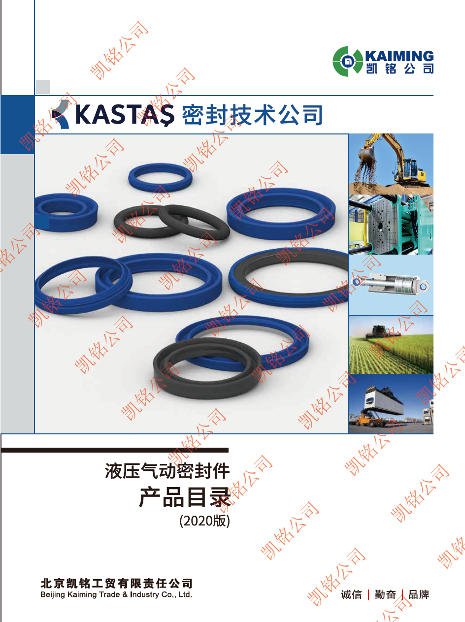 Kastas中文簡介修改2019