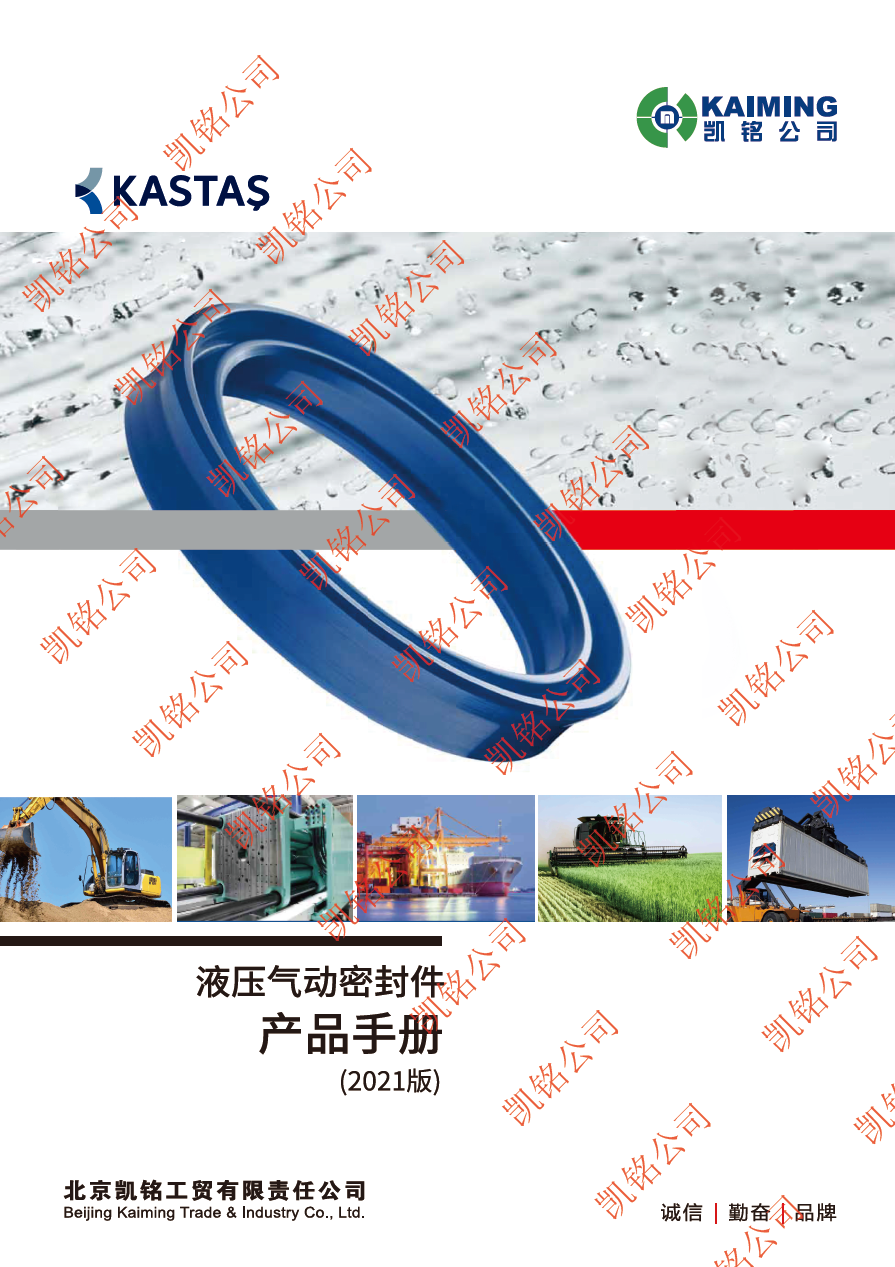 kastas液壓氣動密封件產(chǎn)品手冊（安全）